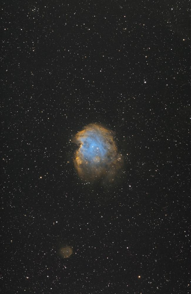 La tête de singe en SHO camera asi 071mc 