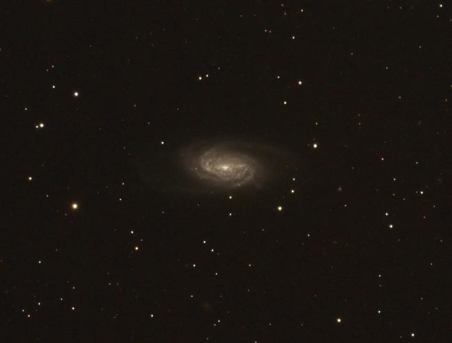 ngc2903 dans le lion