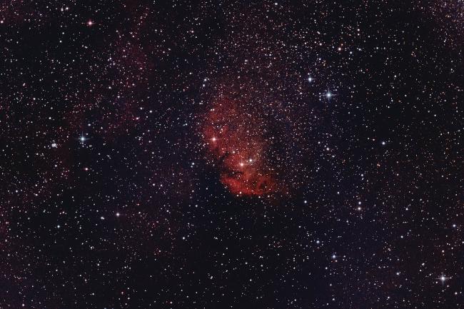 SH2-101 (Nébuleuse Tulipe  - Cygne)