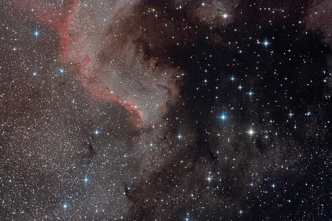 NGC 7000 le Mur (Cygne)