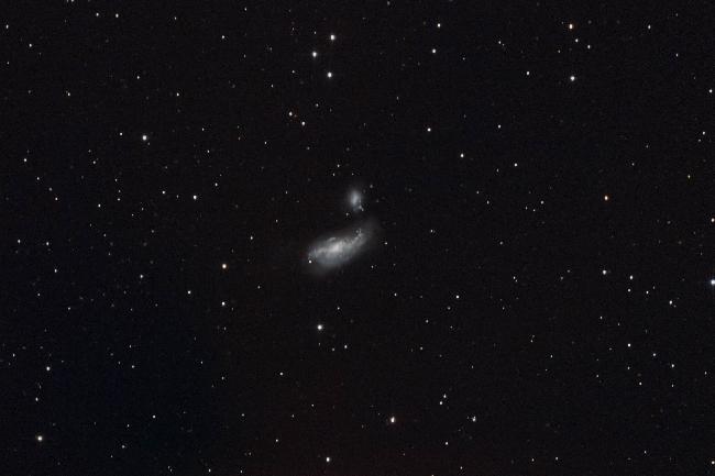 NGC 4485 ( Chiens de Chasse )