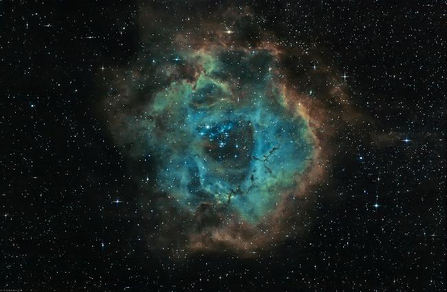 Nébuleuse de la Rosette en Ha-SHO (NGC 2237)