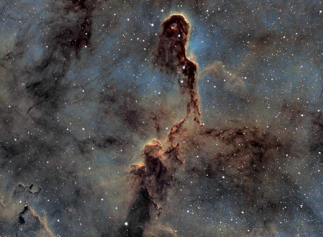 Nébuleuse de la trompe de l'éléphant (IC1396)