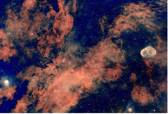 Zwo Asi 294 mc pro
