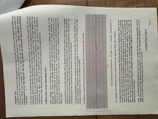 AZEQ6 PRO GO TO Pierro Astro Berlebach