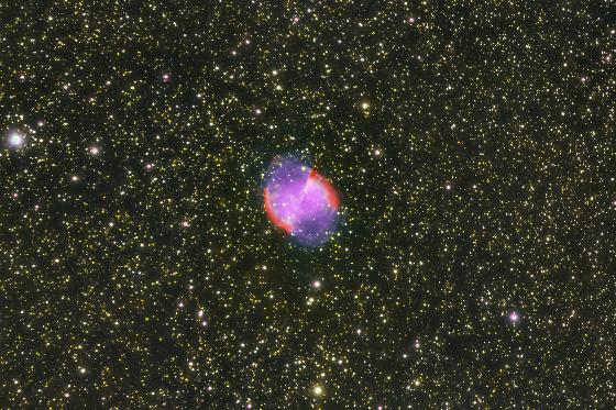 Monture Célestron CGX