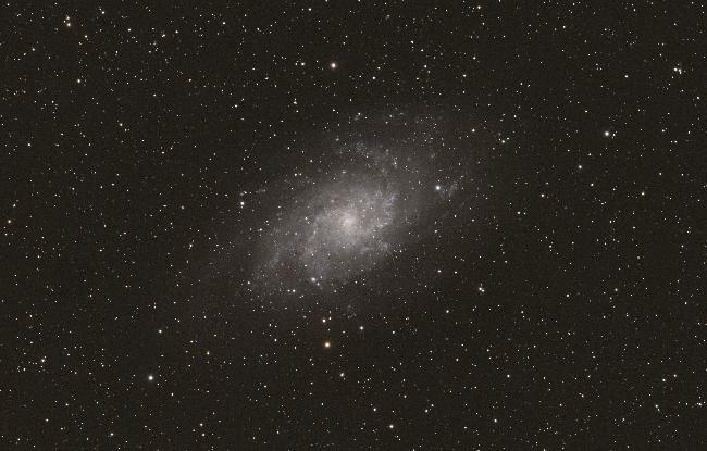 M33