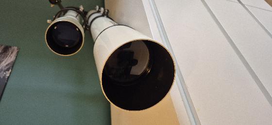 Lunette meade perl vixen 