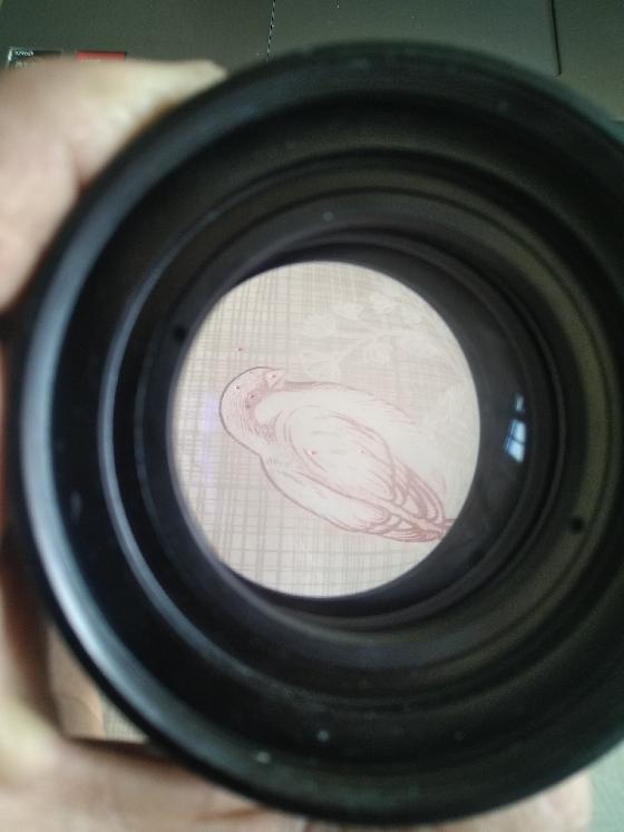 Correcteur Starizona 0,7 pour SC