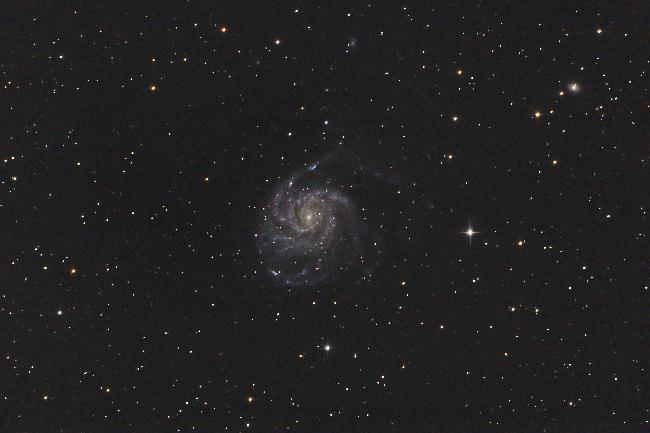 M101 - Grande Ourse