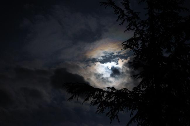 Rapprochement Lune-Saturne 01-06-2018 cèdre