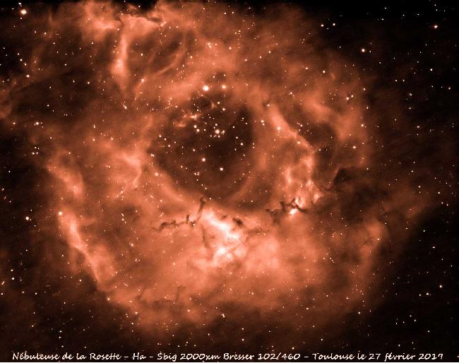 La Rosette de Toulouse