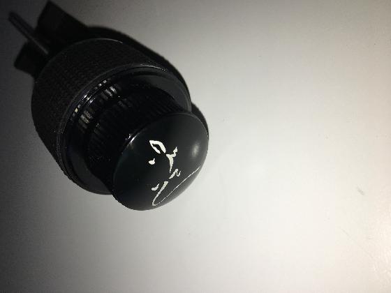 Microfocuser Lacerta