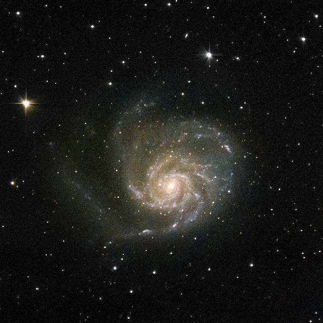 M101