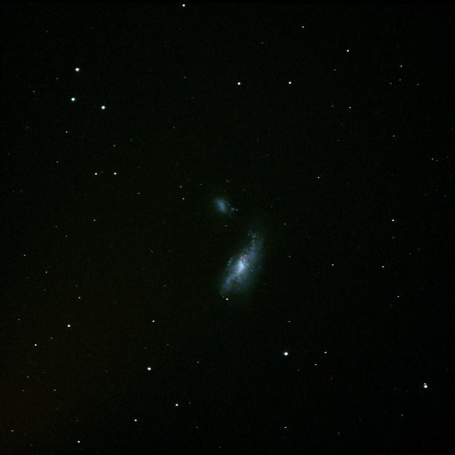 Cocoon Galaxy : NGC4490 et 4485