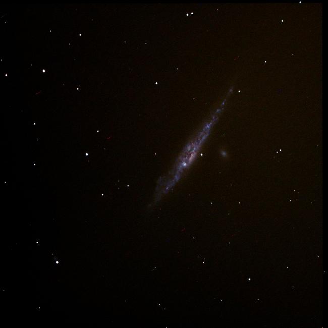 Galaxie de la Baleine (NGC4631) + NGC4627