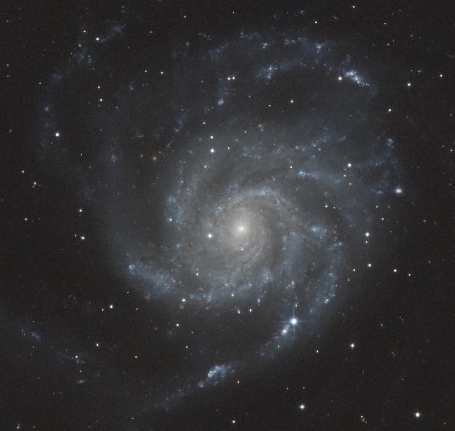 M101 et SN 2023 IXF