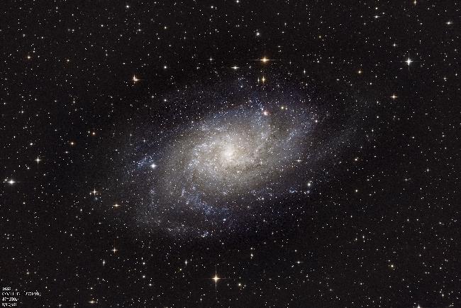 M33