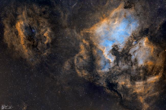 NGC7000 grand champ (SHO)