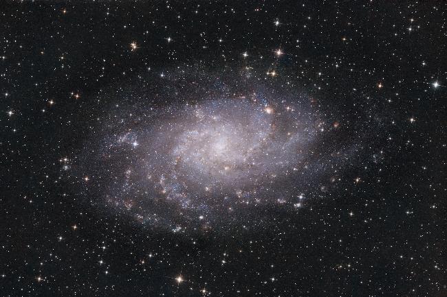 M33 au filtre Antlia Triband V2