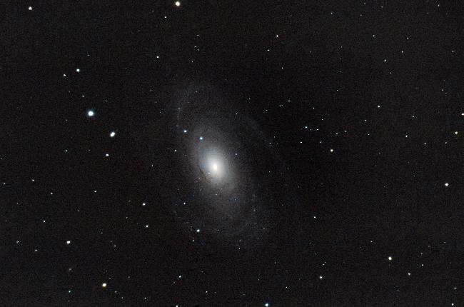 M81