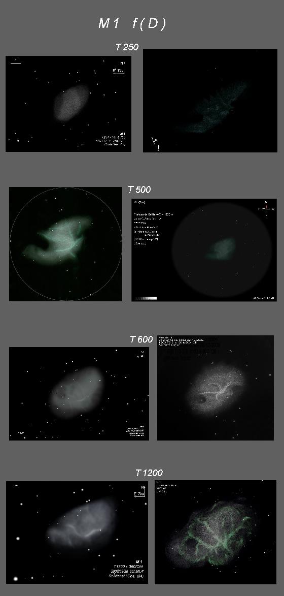 M 1  dessin de T 254 à T 1.20m