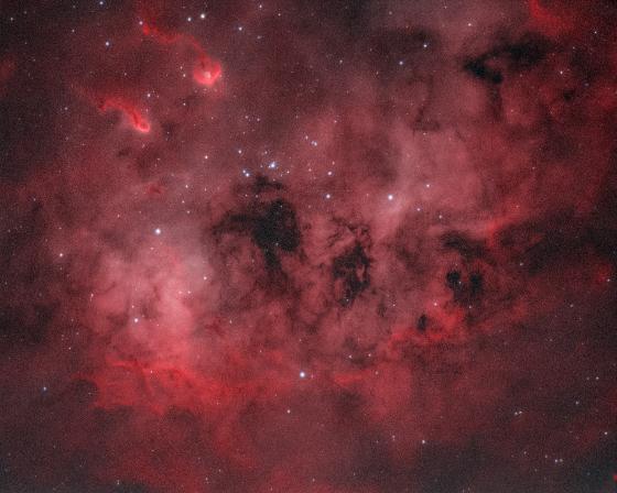 (Grosse baisse de prix) Caméra Starlight Xpress Trius SXVR-H694 Mono + RAF et filtre LRGBSHO