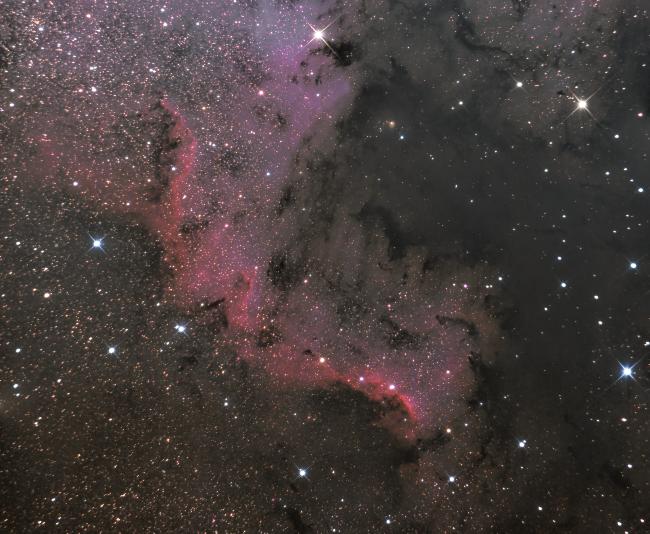 Nébuleuse de l'Amérique du Nord