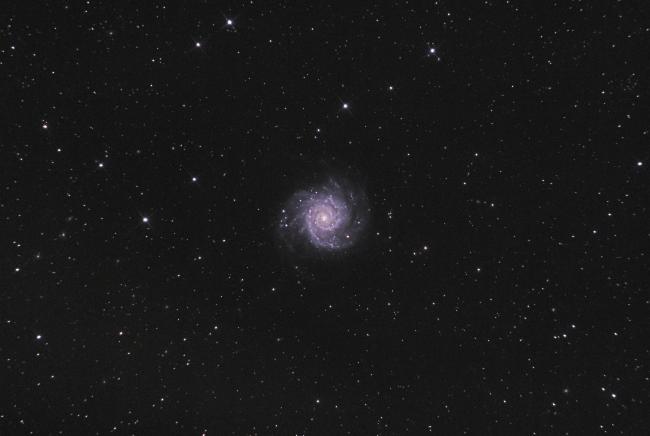M74