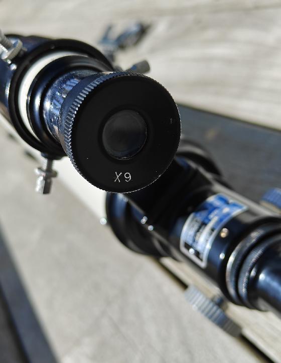 Perl royal/Royal Tokyo R61 60X1200mm