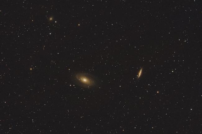M81