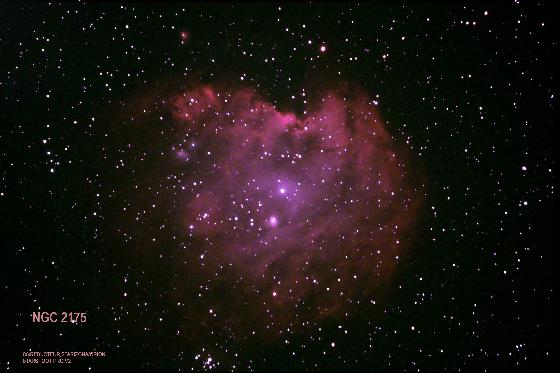 schmidt cassegrain 8"