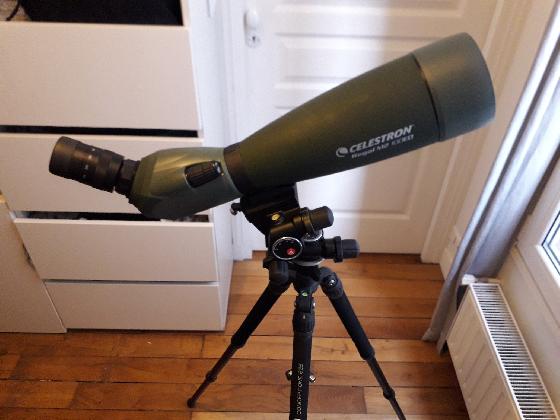 Celestron Regal M2 100ED