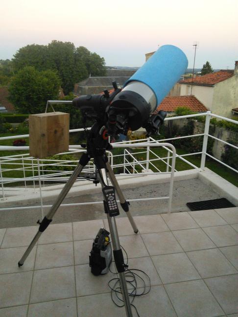 Contrepoids sauvage 1