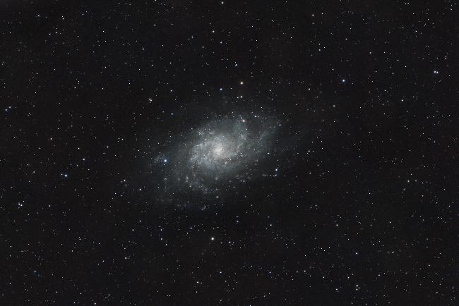 M33