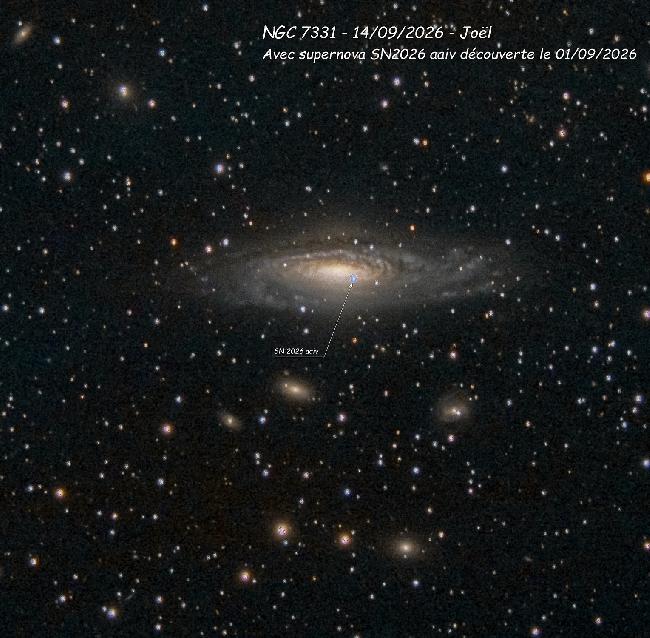 NGC 7331