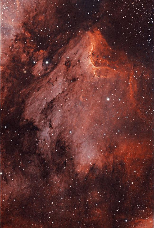 IC5070 _ le PELICAN