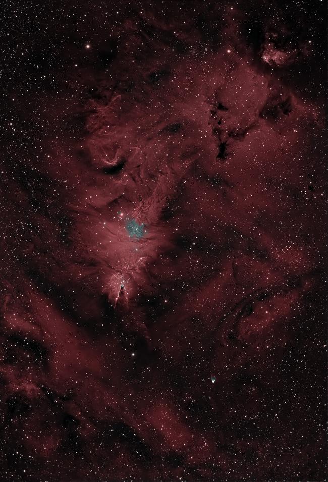 Un sapin sur son cône décoré avec l'amas NGC2264
