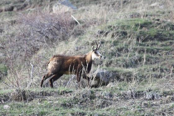 printemps à Bousieyas