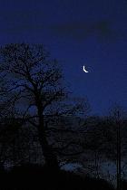 Conjonction 26fev2014 01