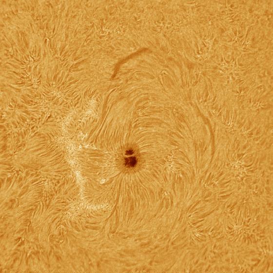 Lunette Istar Optical 150F10 optimisée solaire