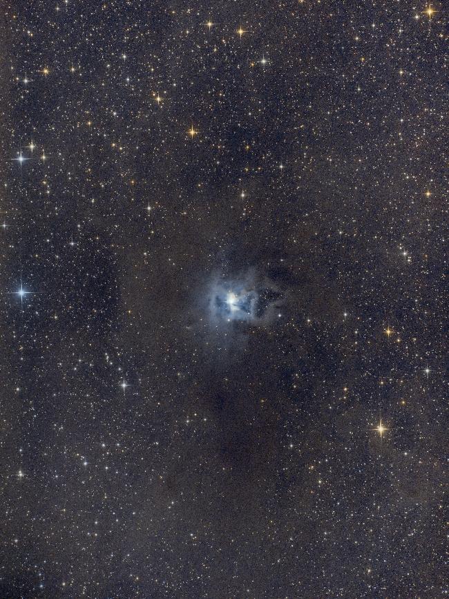 Nébuleuse de l'Iris