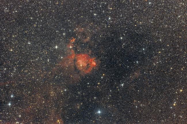 Nébuleuse de la tête de poisson