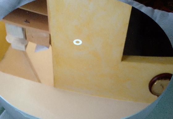 Miroir primaire 254/1270