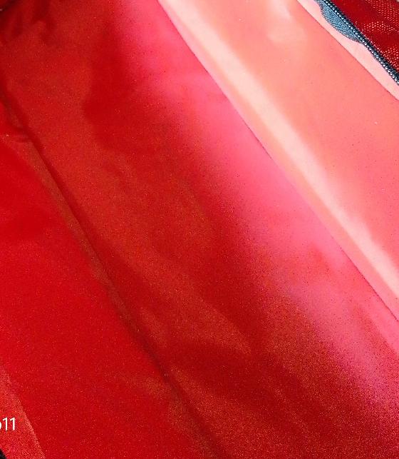 Sac de transport pour lunettes  ou petit télescope 