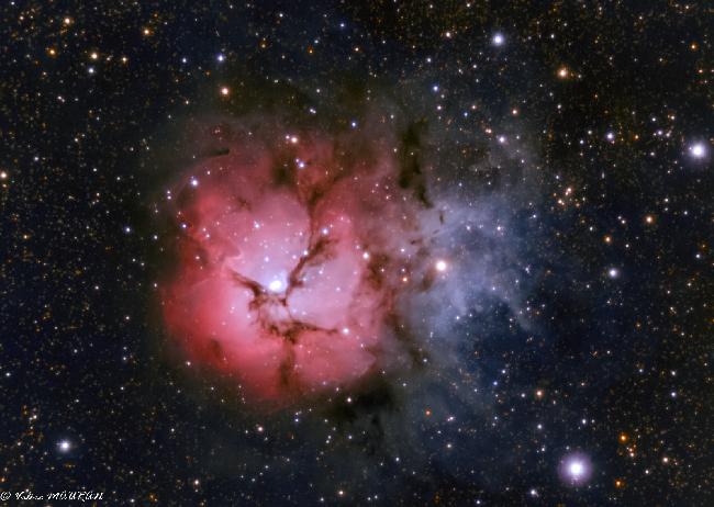 M20 - La nébuleuse Trifide
