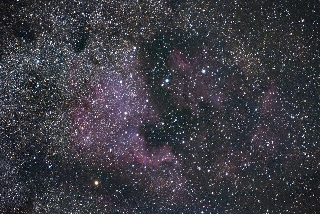 NGC7000 - North America Nebula