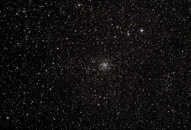 M 11 Amas du canard sauvage