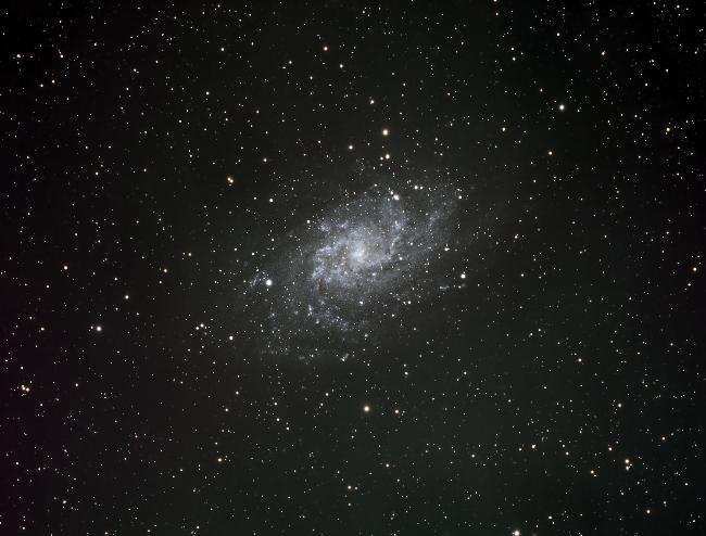 M33