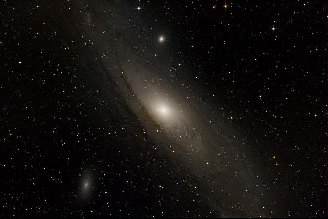 M31